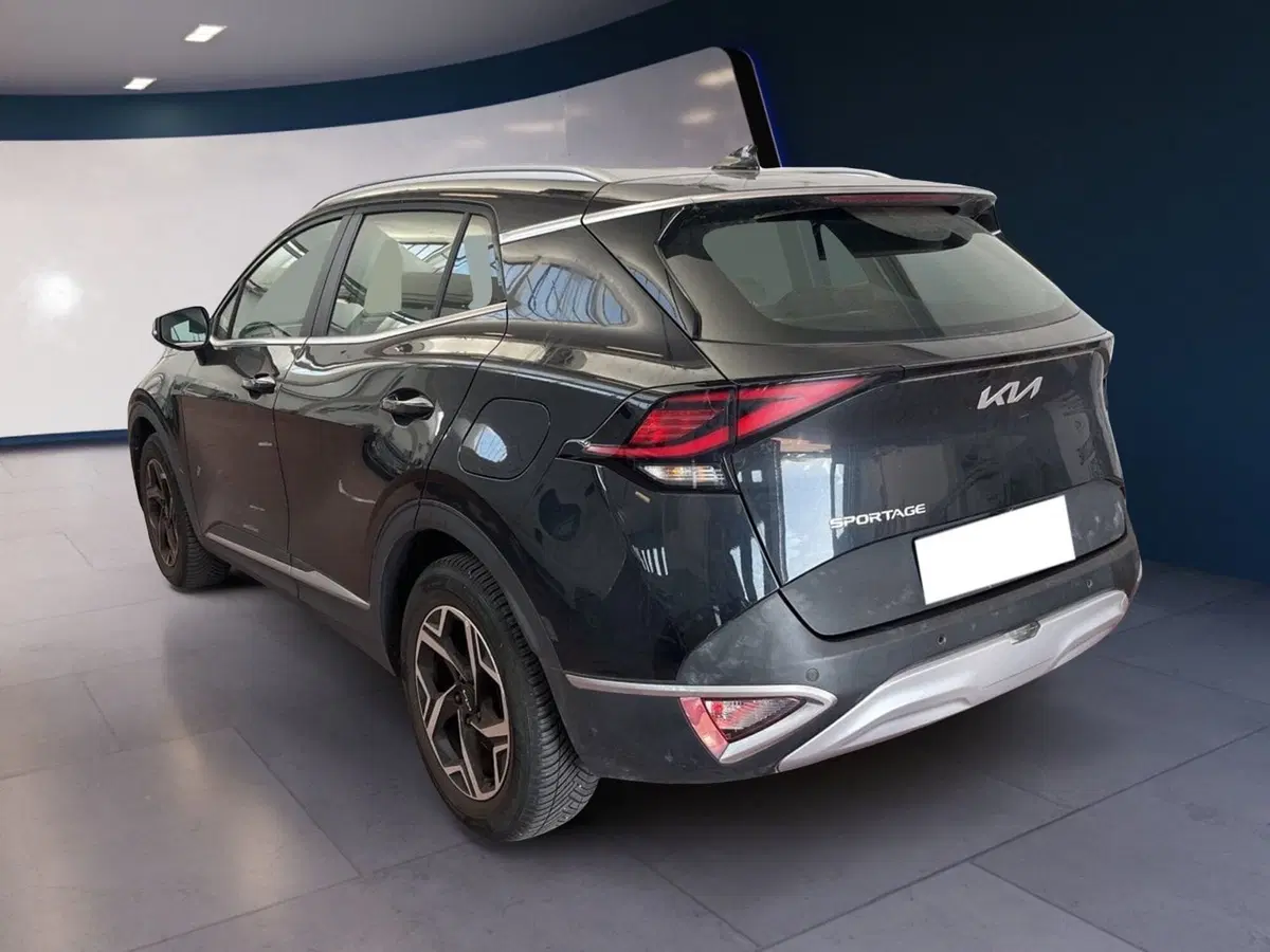 Kia Sportage usata a Torino (6)