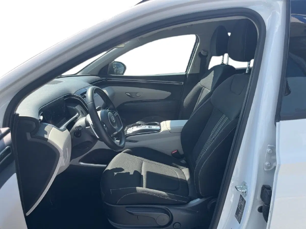 Hyundai Tucson usata a Torino (10)