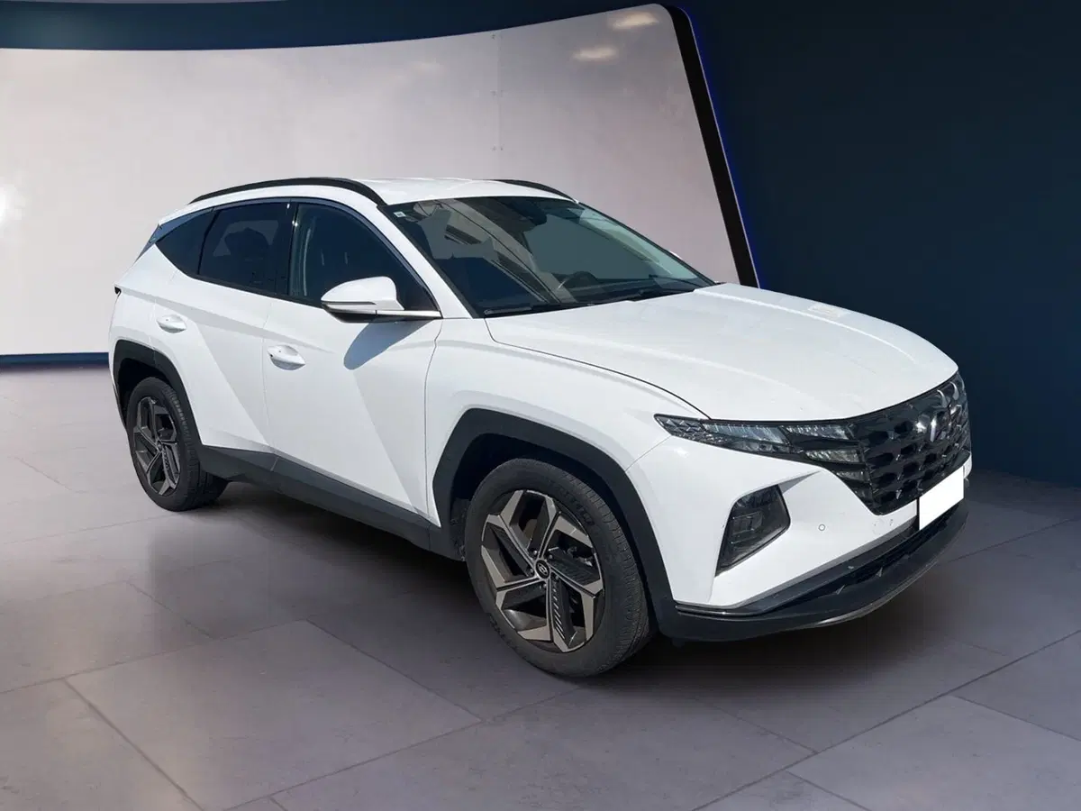 Hyundai Tucson usata a Torino (2)
