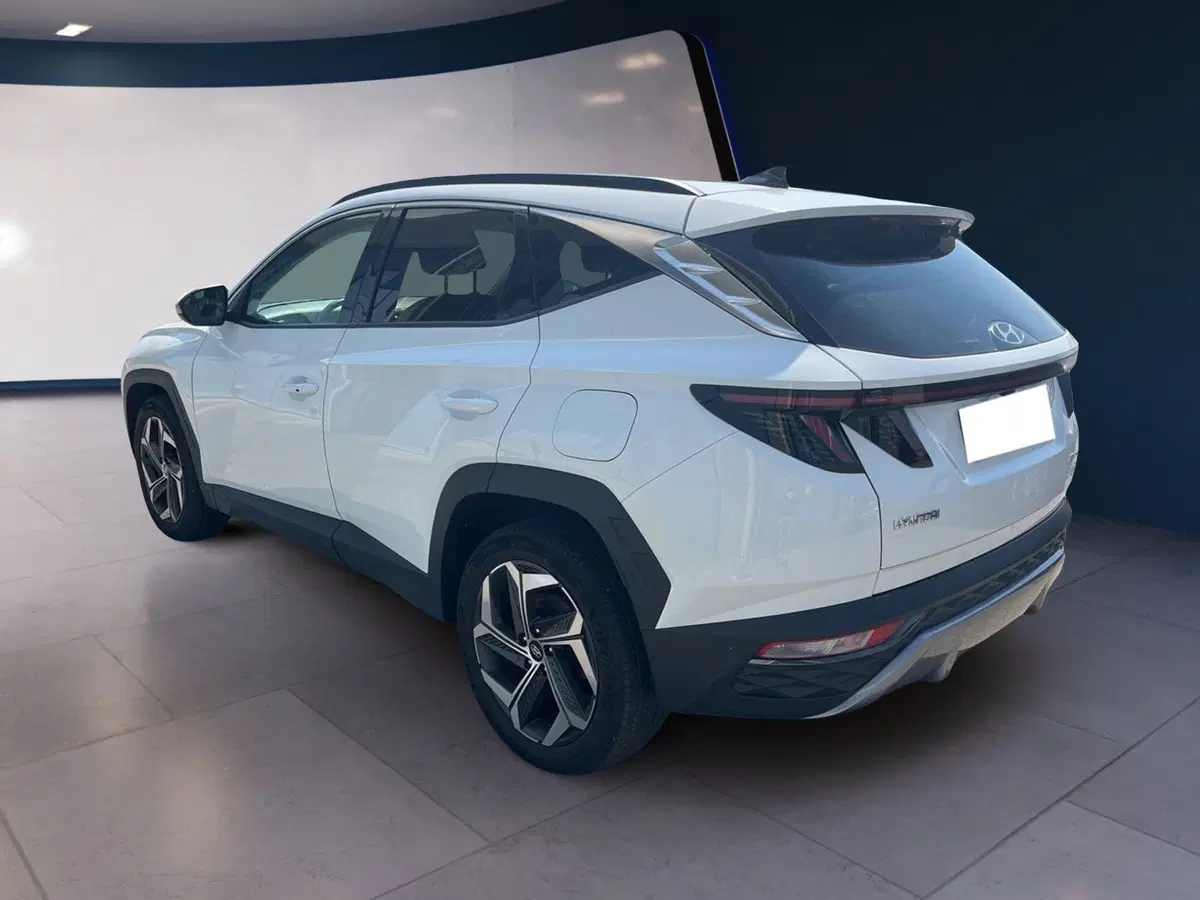 Hyundai Tucson usata a Torino (4)