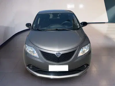 Lancia Ypsilon 1.2 69 CV 5 porte GPL Ecochic Gold del 2019 usata a Torino