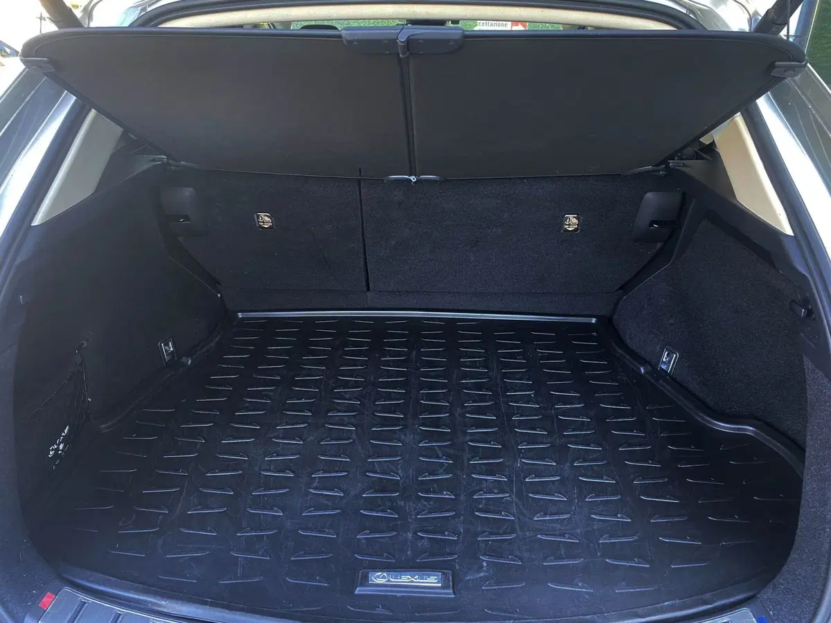 Lexus NX usata a Venezia (20)