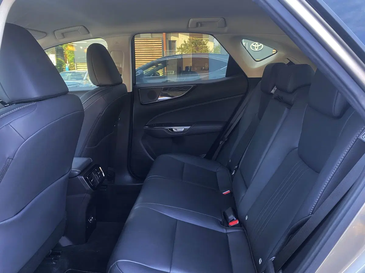 Lexus NX usata a Venezia (8)