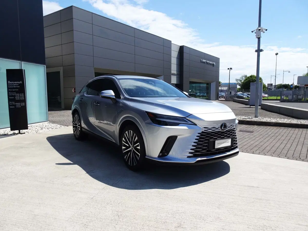 Lexus RX usata a Venezia (2)
