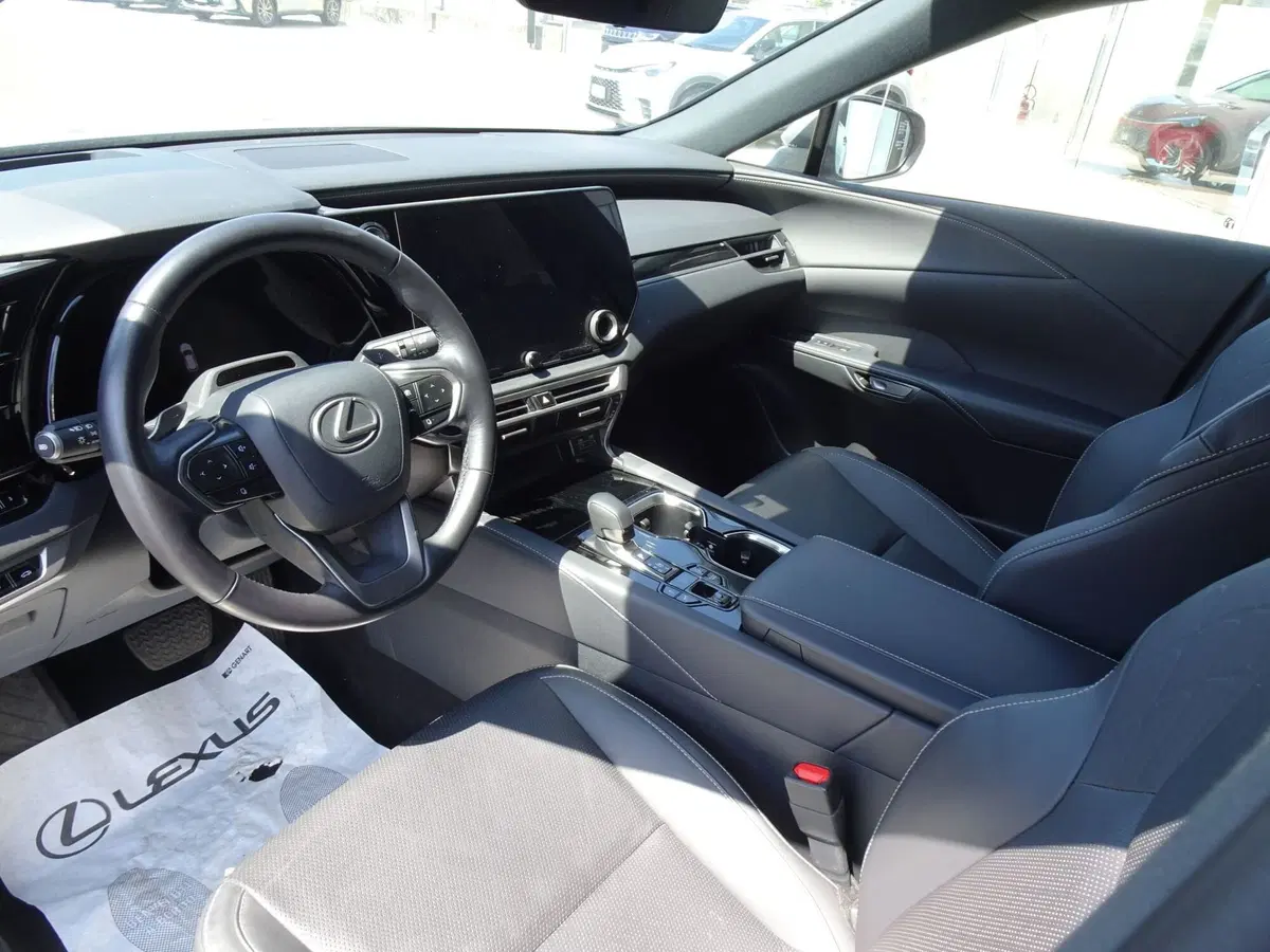 Lexus RX usata a Venezia (6)