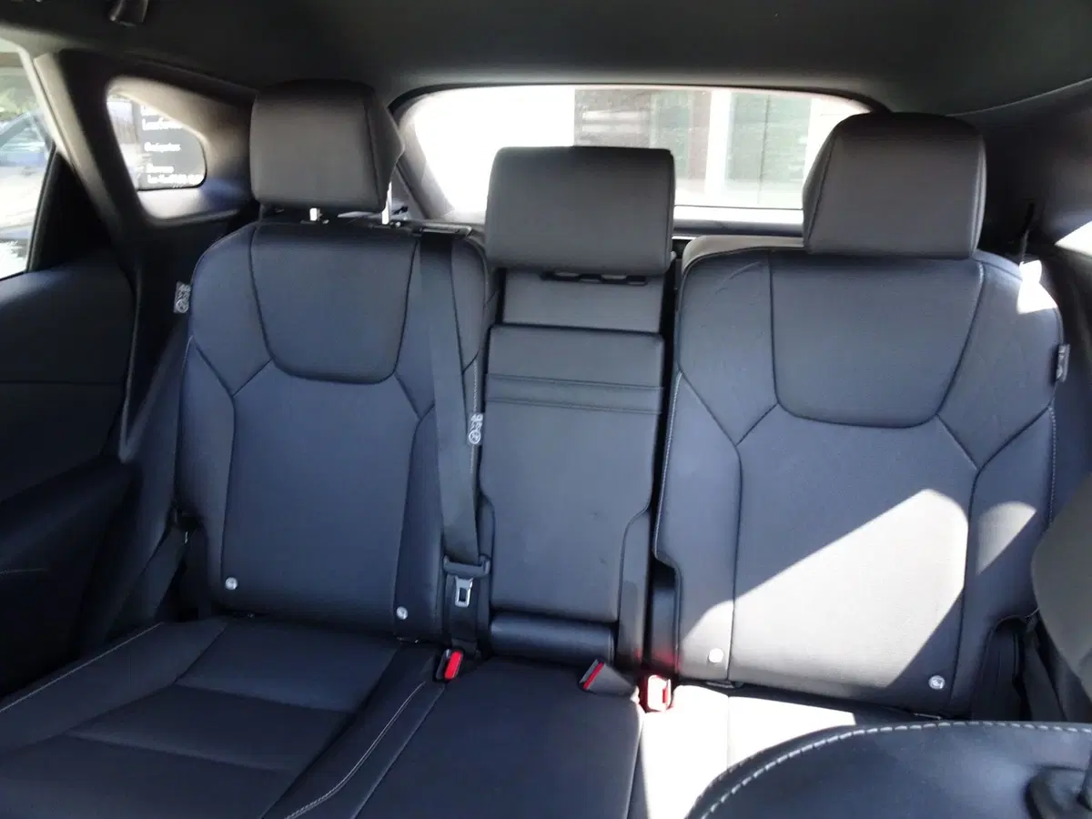 Lexus RX usata a Venezia (8)