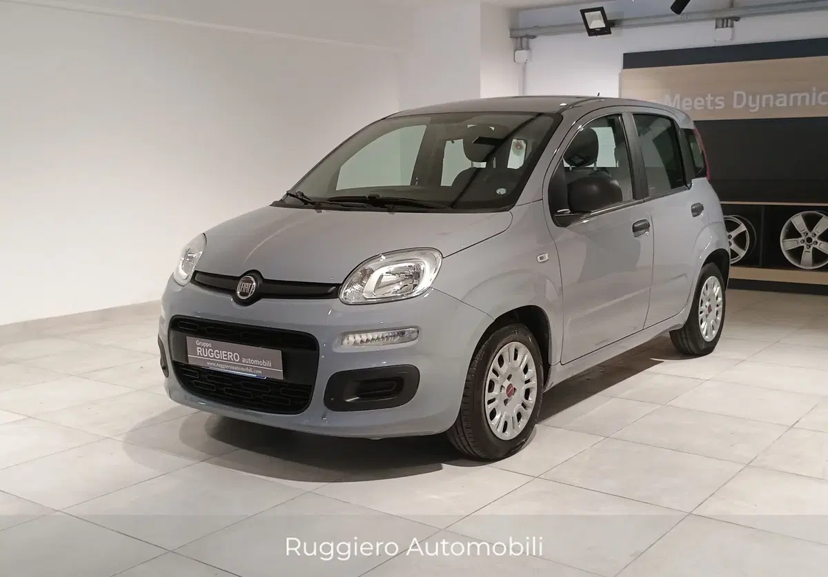 Fiat Panda Cross usata a Catanzaro (2)