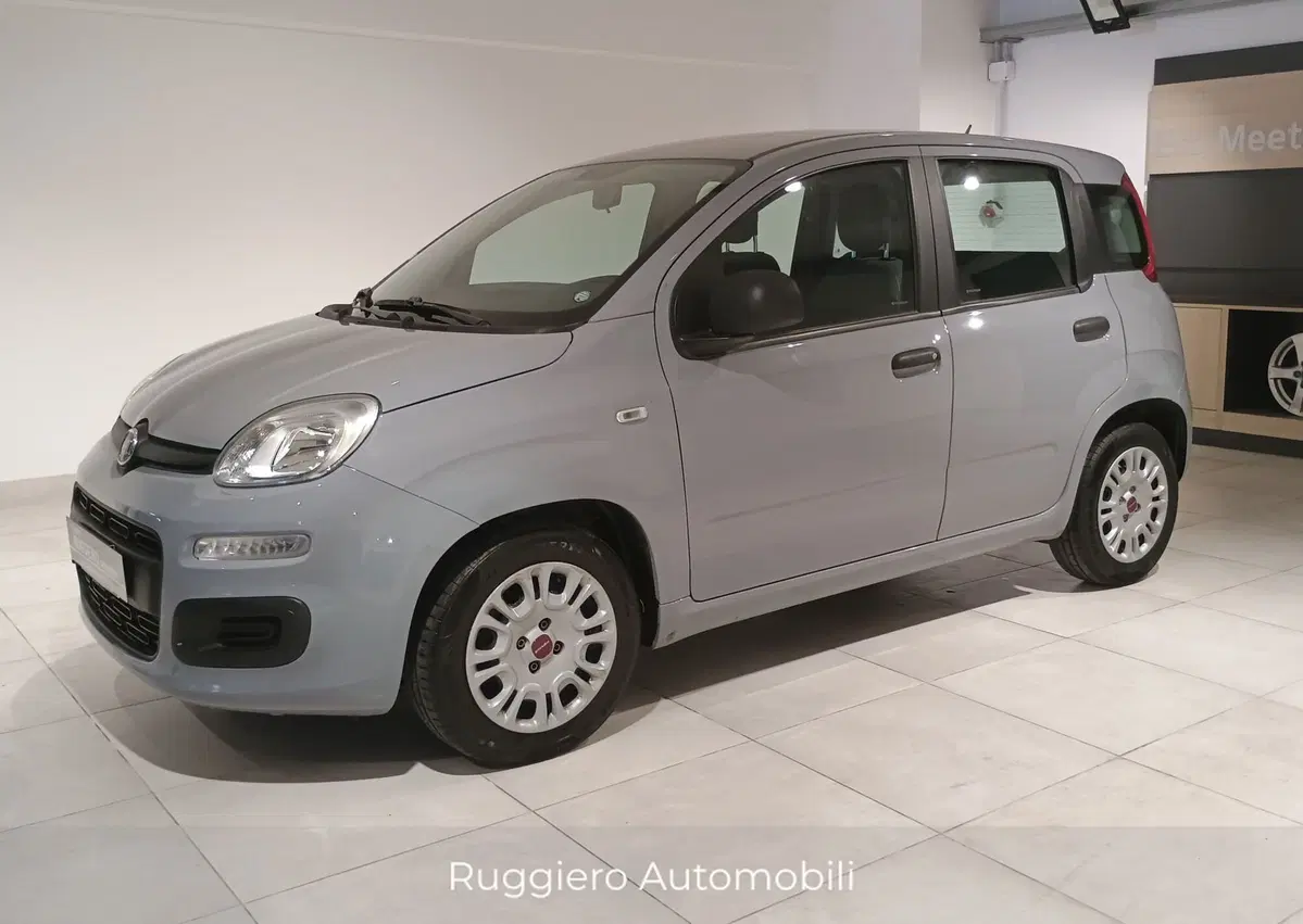 Fiat Panda Cross usata a Catanzaro (3)