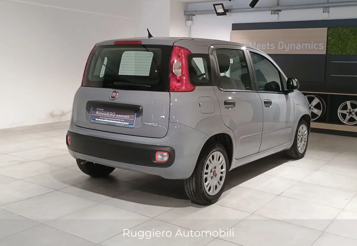 Fiat Panda Cross usata a Catanzaro (5)
