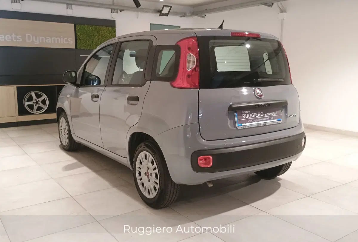 Fiat Panda Cross usata a Catanzaro (6)