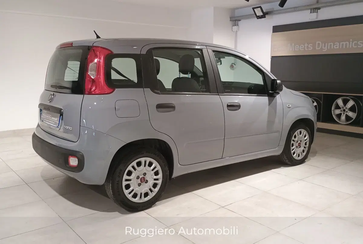Fiat Panda Cross usata a Catanzaro (7)