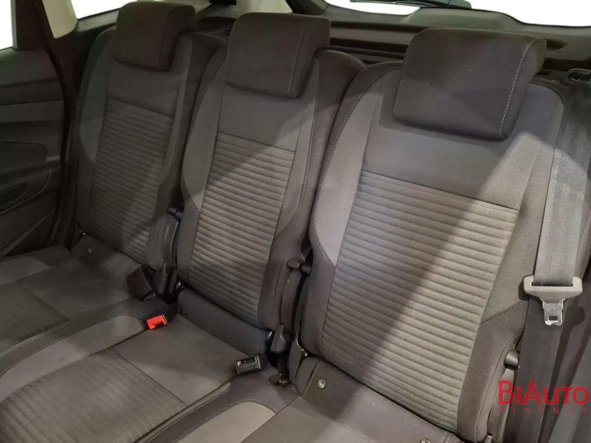 Ford C-Max usata a Firenze (10)