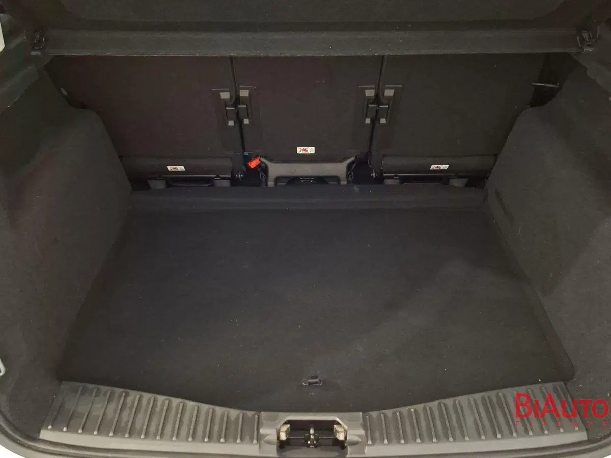 Ford C-Max usata a Firenze (5)