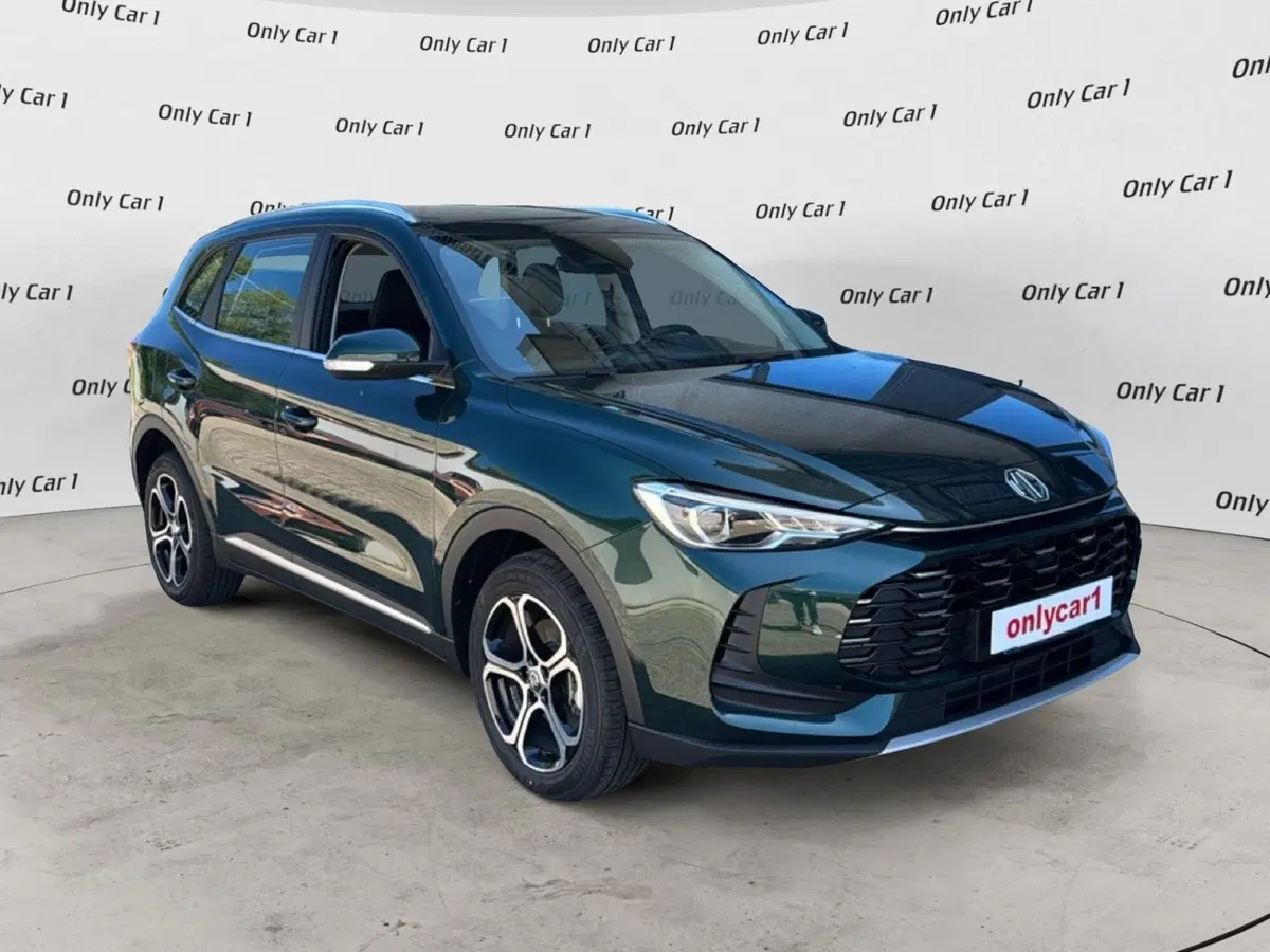 Mg ZS usata a Ferrara