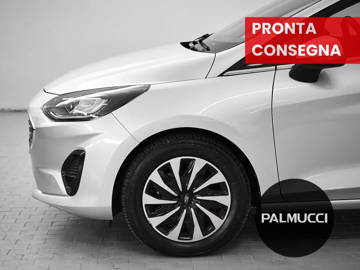 Ford Fiesta usata a Prato (6)