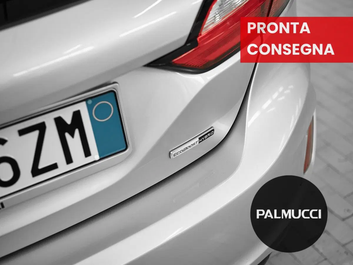 Ford Fiesta usata a Prato (8)