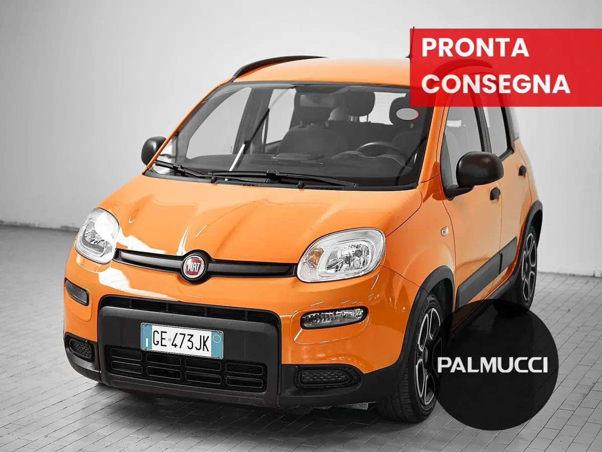 Fiat Panda usata a Prato