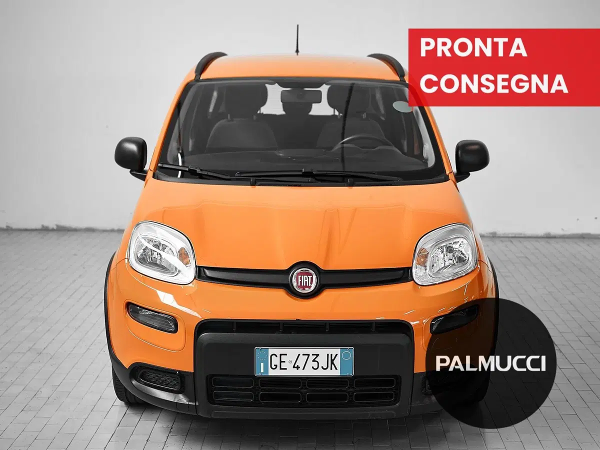Fiat Panda usata a Prato (2)