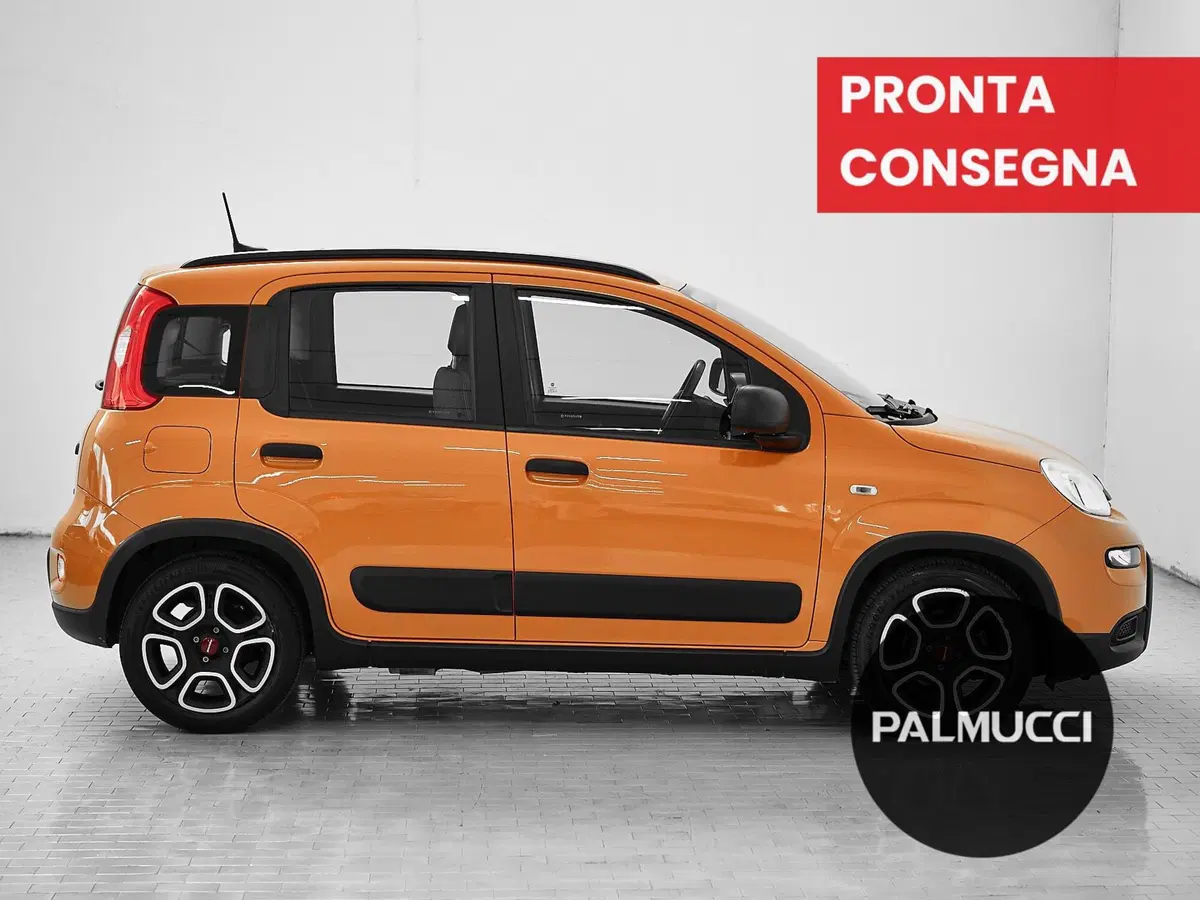 Fiat Panda usata a Prato (4)