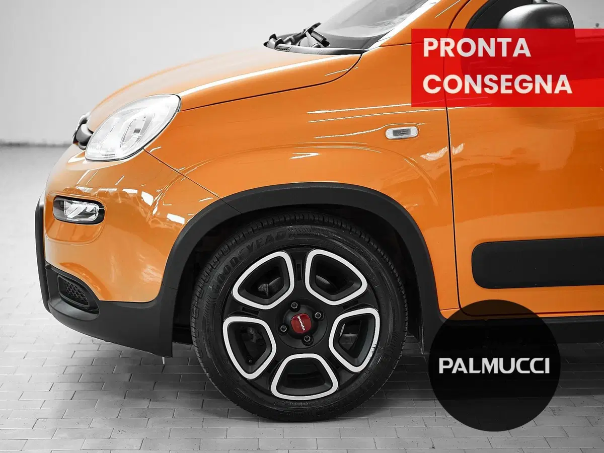 Fiat Panda usata a Prato (7)