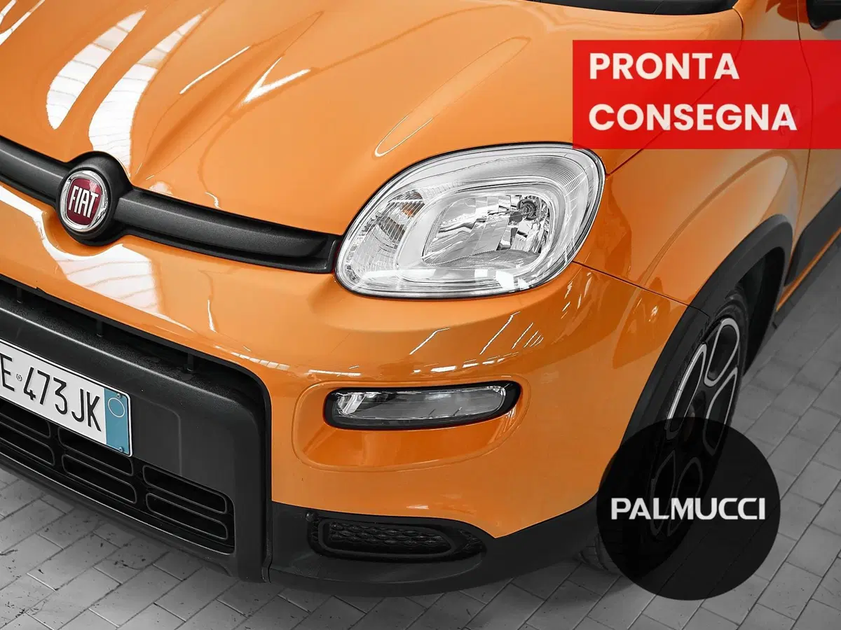 Fiat Panda usata a Prato (8)