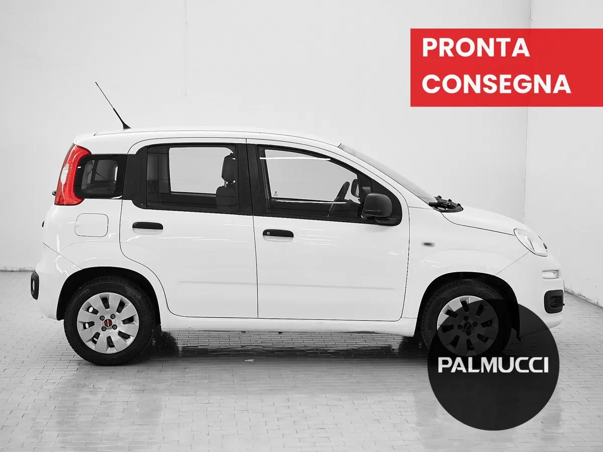 Fiat Panda usata a Prato (3)