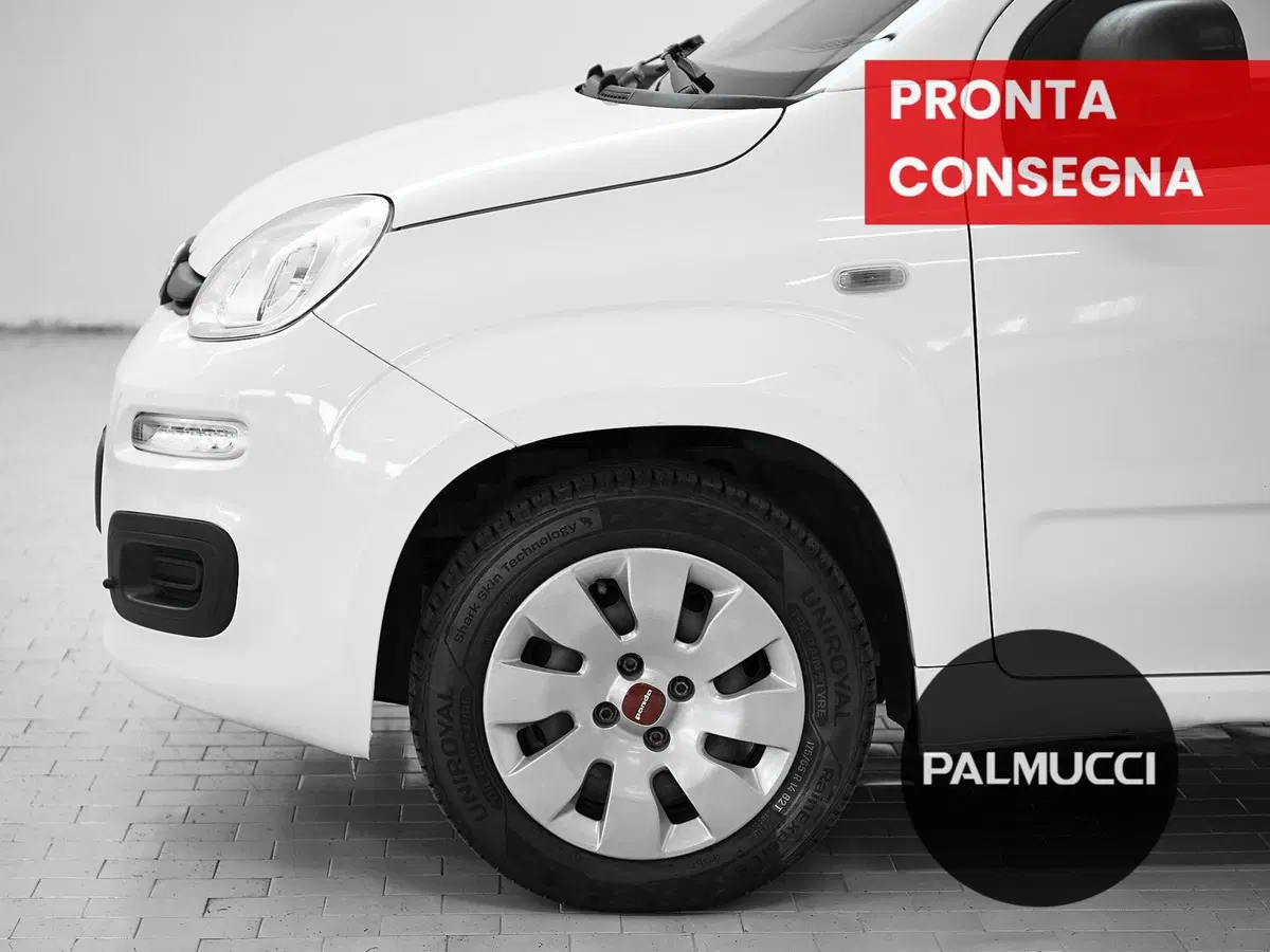 Fiat Panda usata a Prato (6)