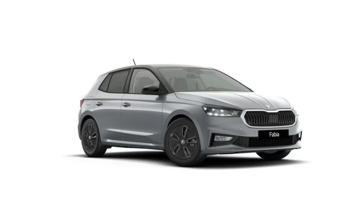 Skoda Fabia nuova a Torino