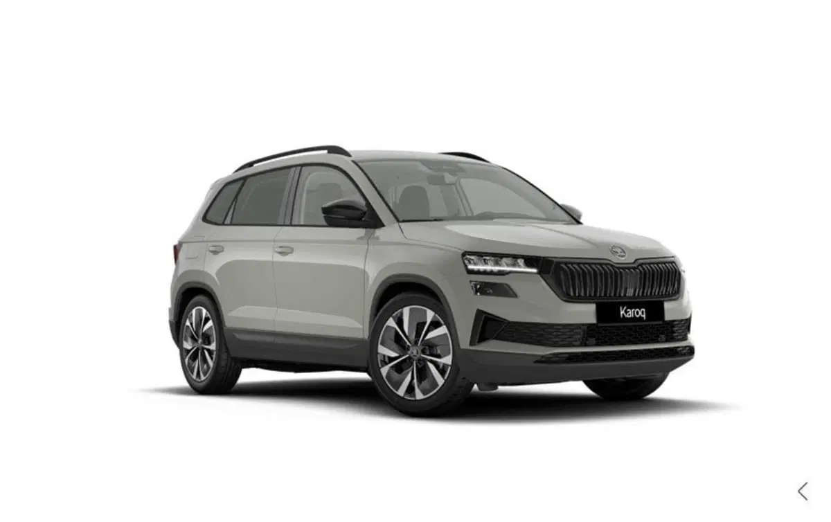 Skoda Karoq nuova a Torino