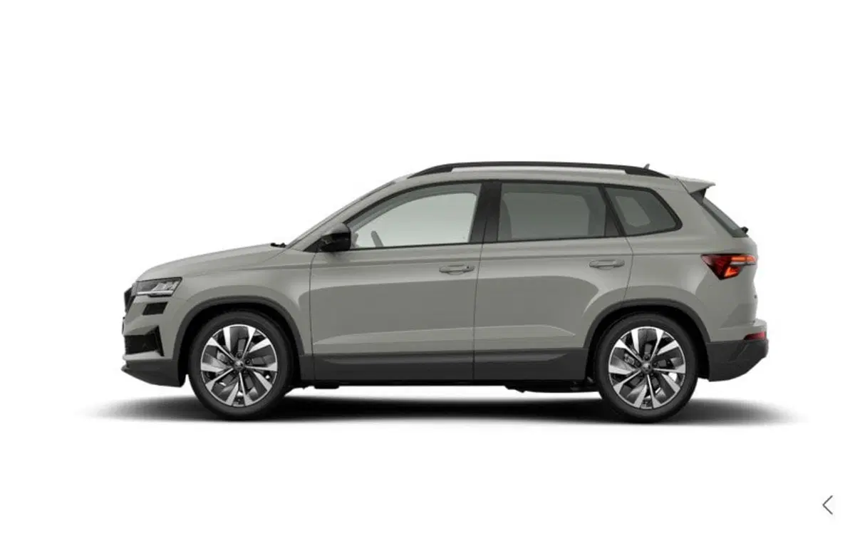 Skoda Karoq nuova a Torino (2)