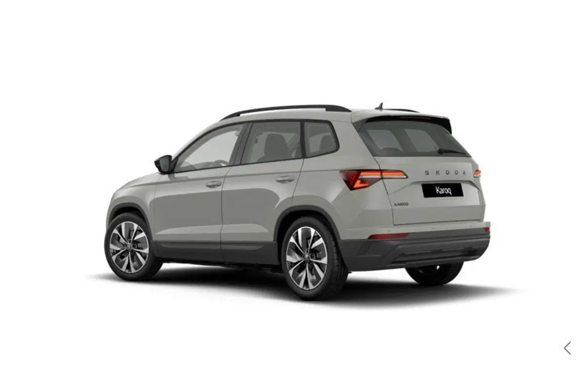 Skoda Karoq nuova a Torino (3)