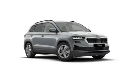 Skoda Karoq 2.0 tdi Executive 150cv dsg nuova a Torino