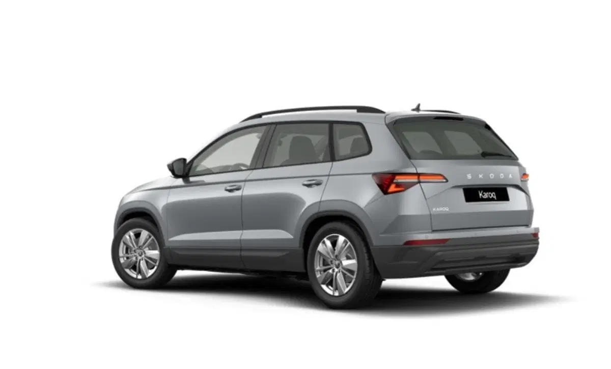 Skoda Karoq nuova a Torino (3)