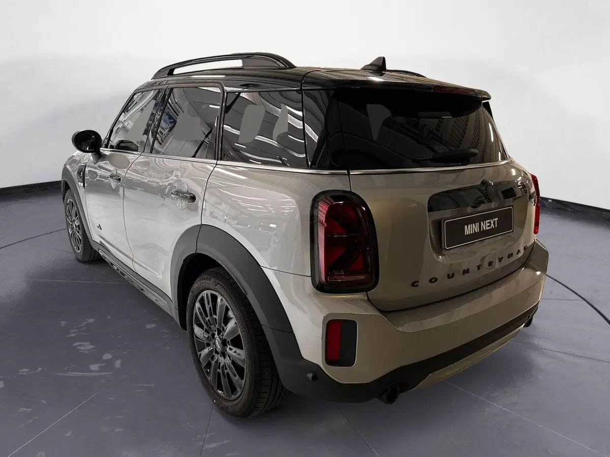 MINI Mini Countryman usata a Cuneo (5)
