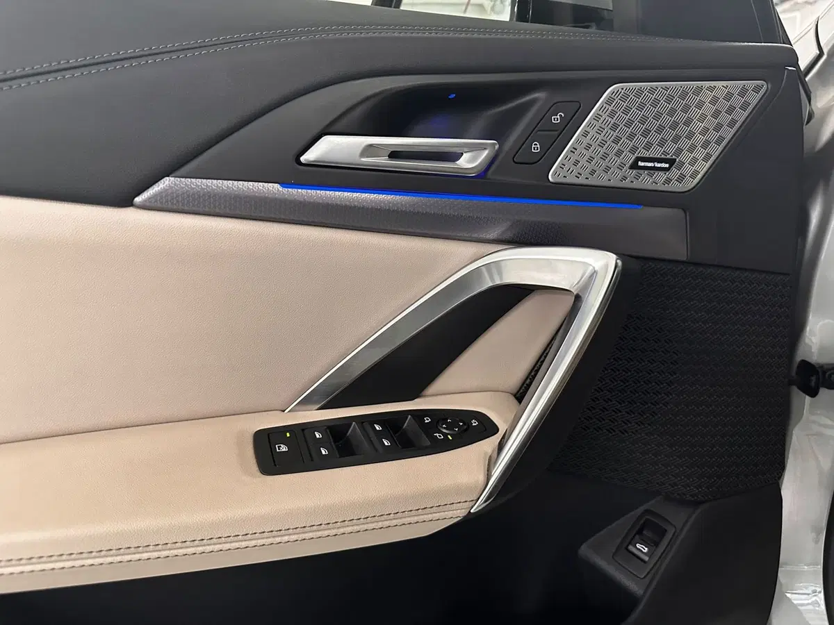BMW X1 usata a Cuneo (18)