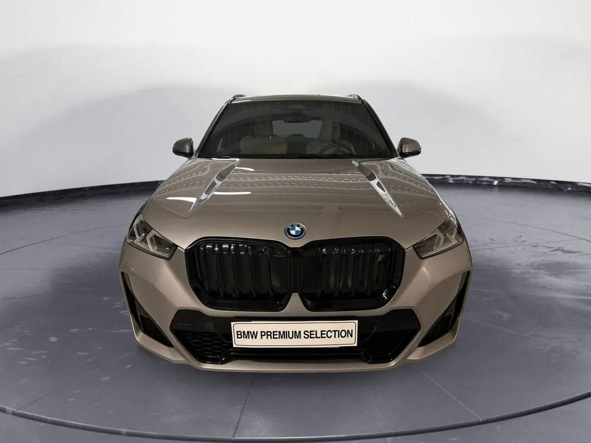 BMW X1 usata a Cuneo (3)
