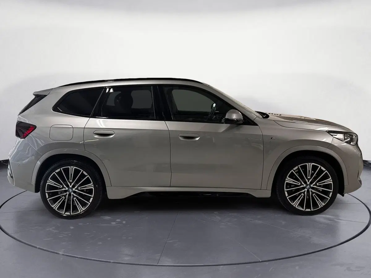BMW X1 usata a Cuneo (6)