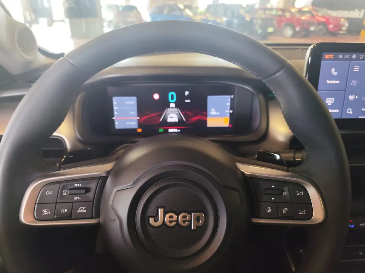 Jeep Avenger usata a Milano (11)