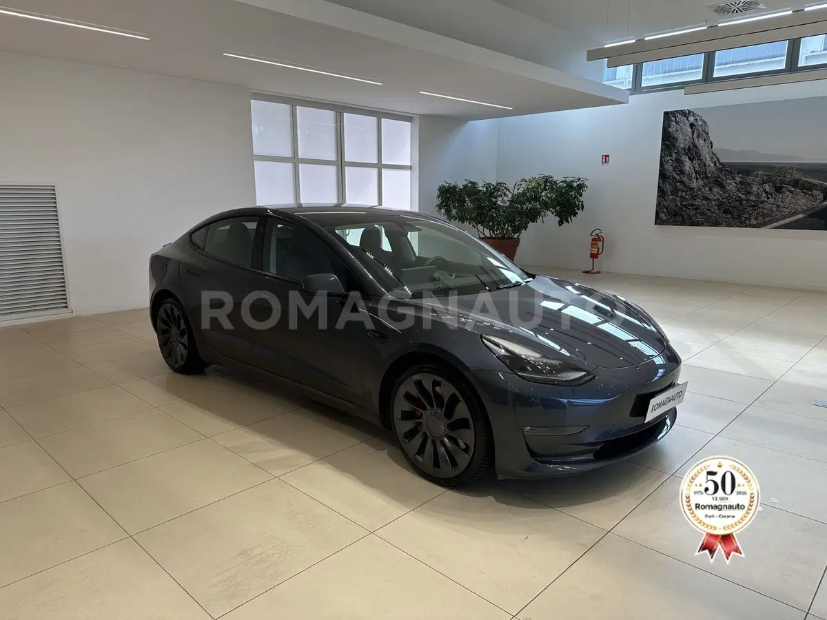 Tesla Model 3 usata a Forlì-Cesena (2)