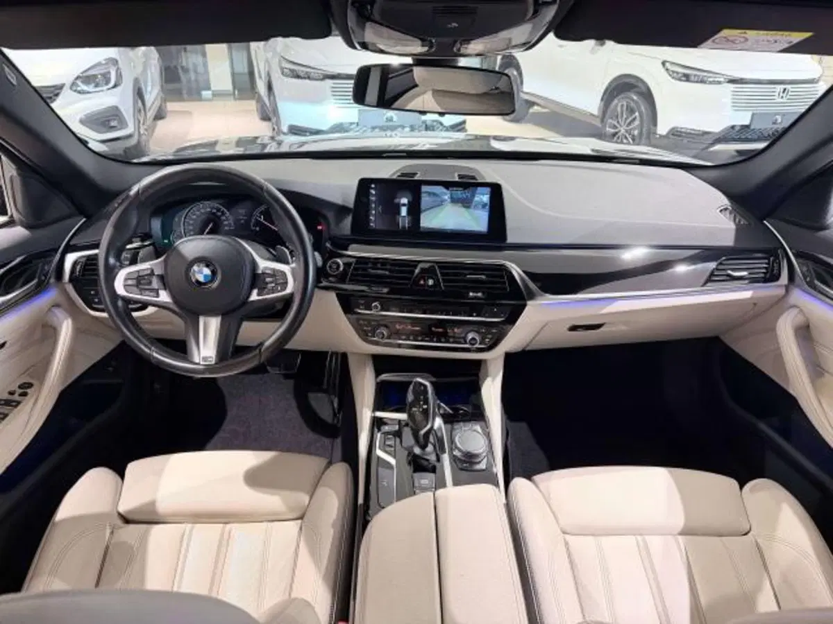 BMW Serie 5 Touring usata a Savona (15)