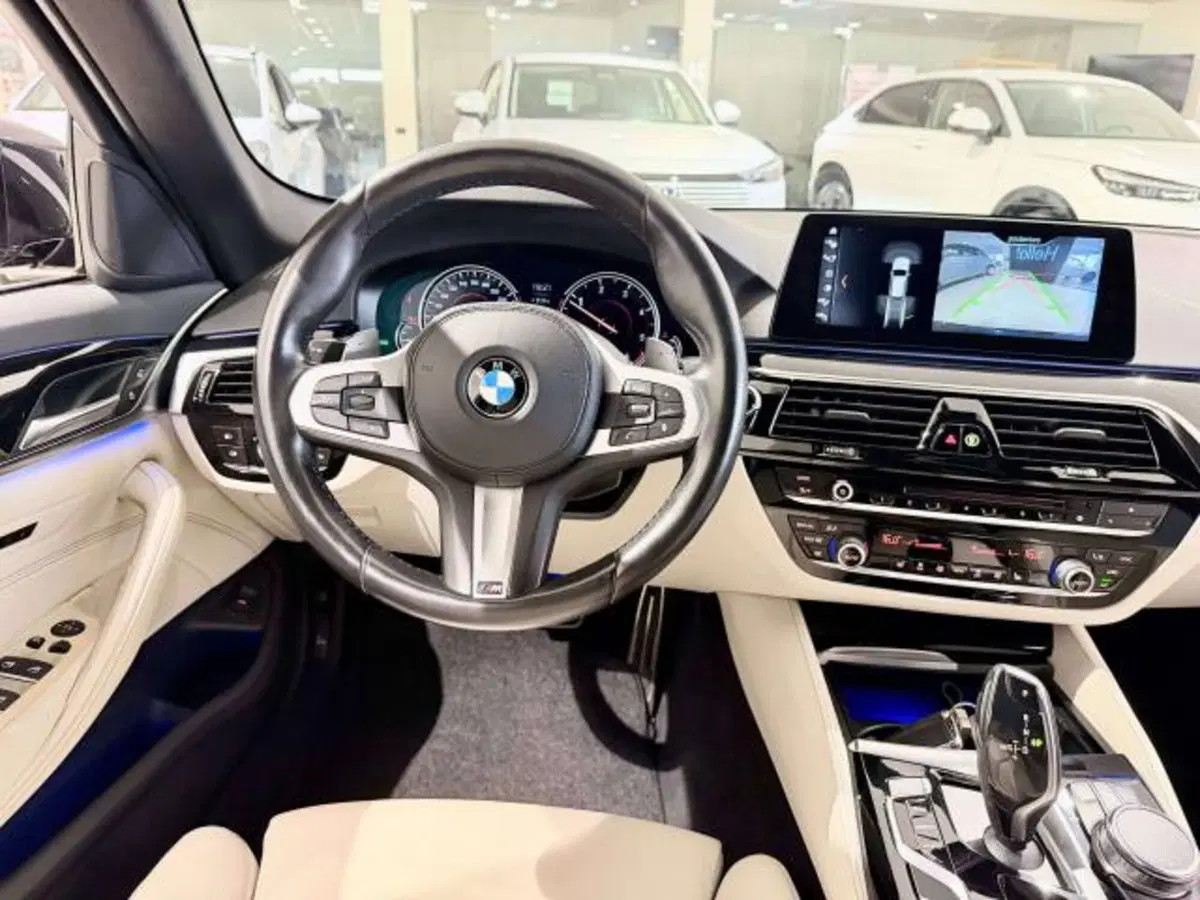 BMW Serie 5 Touring usata a Savona (20)
