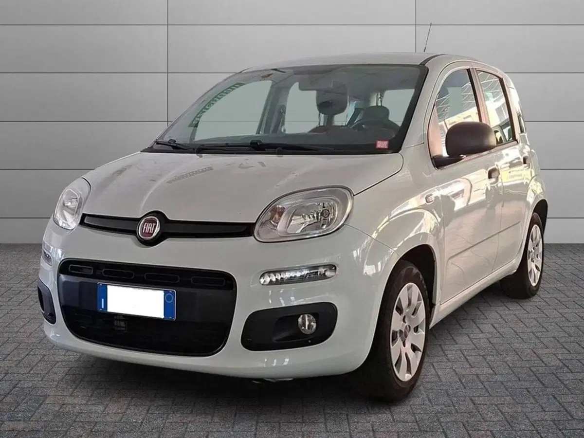 Fiat Panda usata a Torino