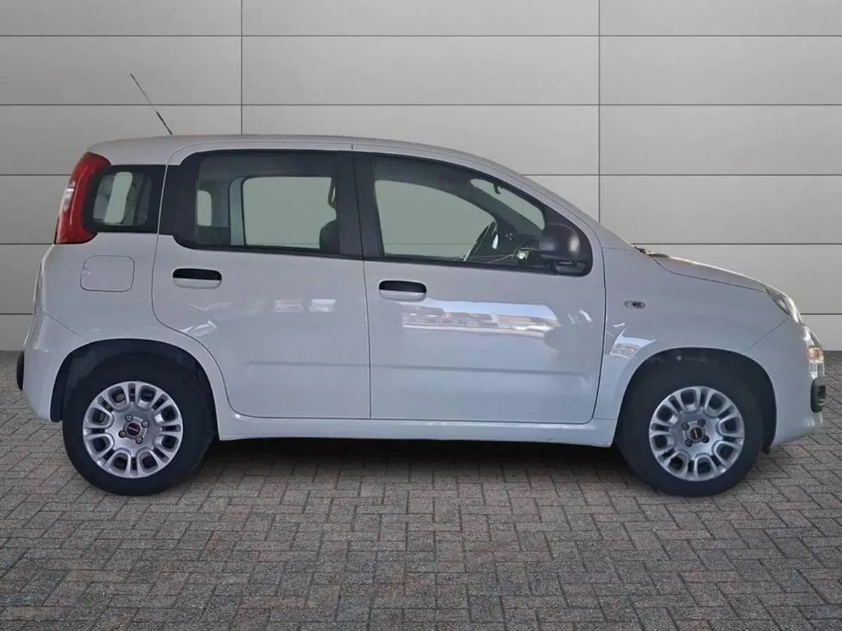 Fiat Panda usata a Torino (3)