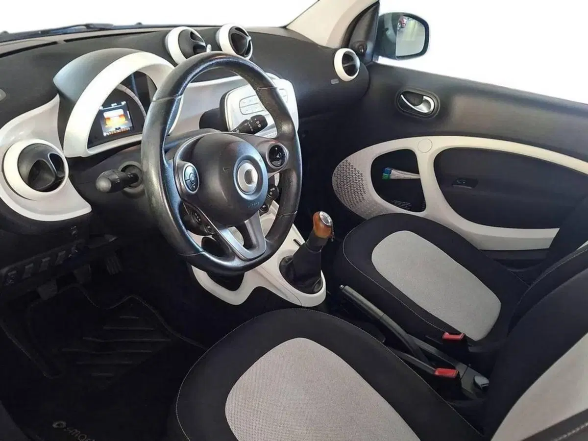 smart Fortwo usata a Torino (10)