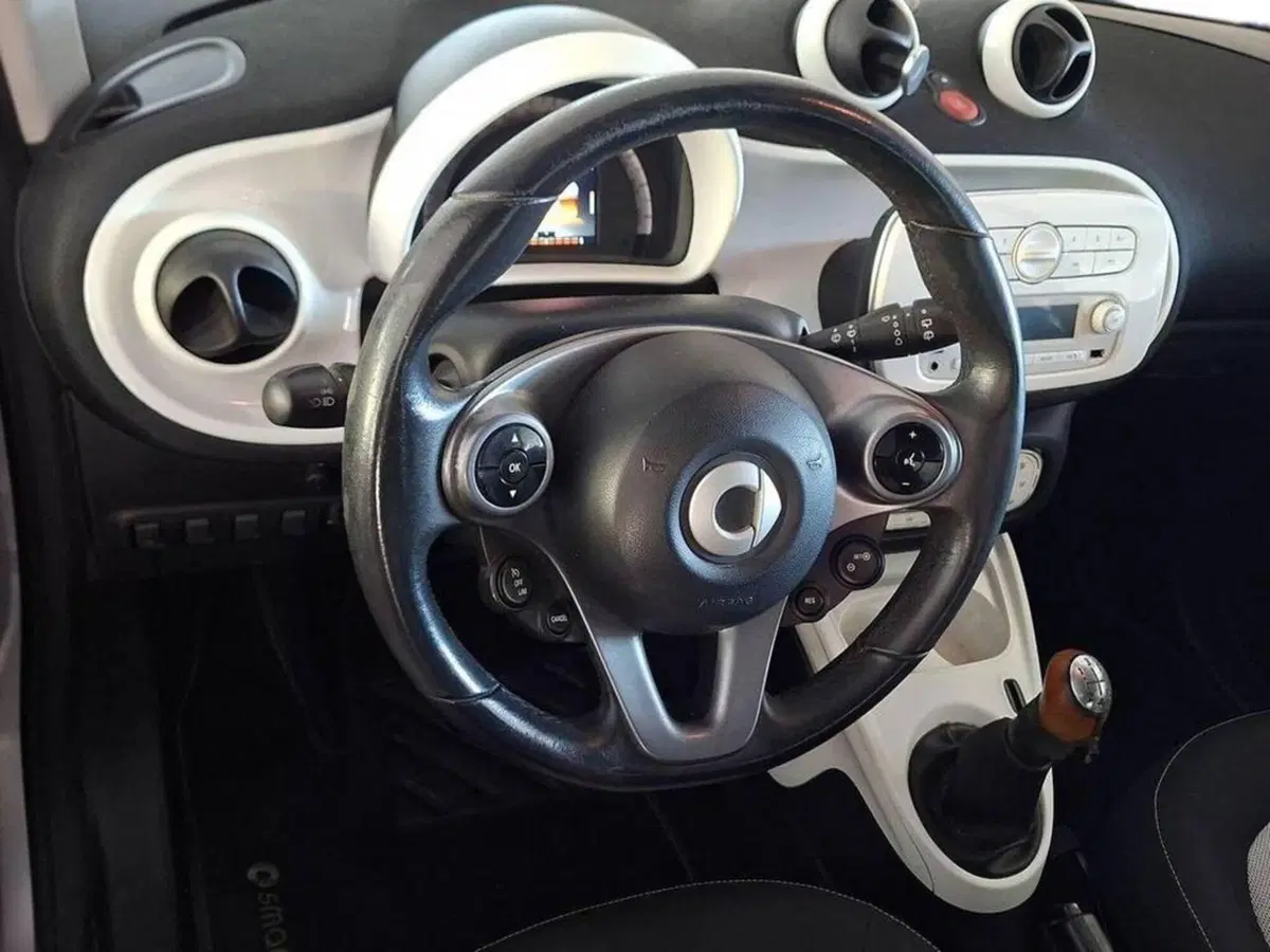 smart Fortwo usata a Torino (11)