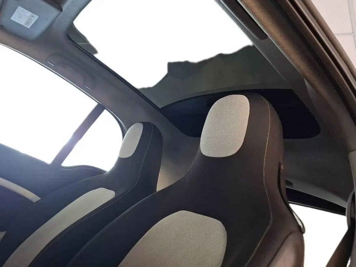 smart Fortwo usata a Torino (12)