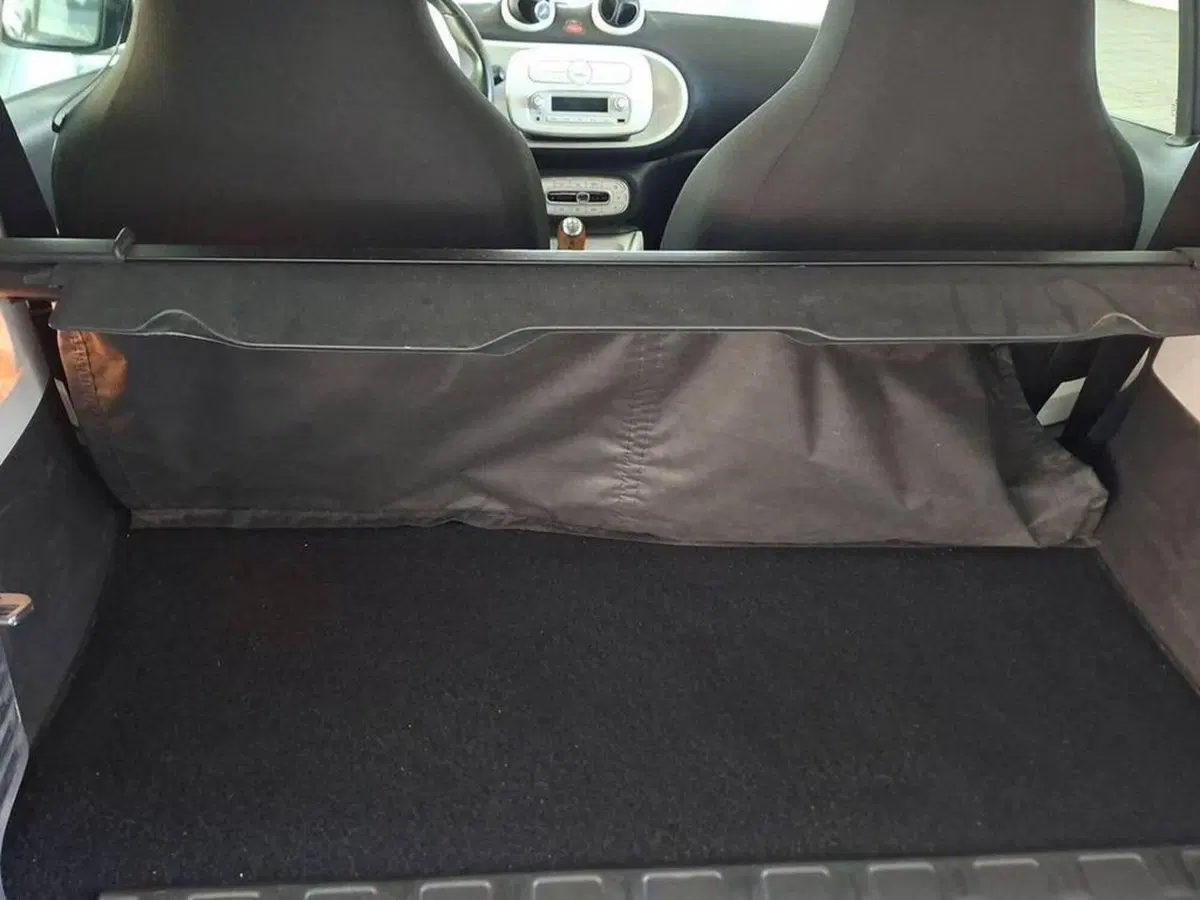smart Fortwo usata a Torino (13)