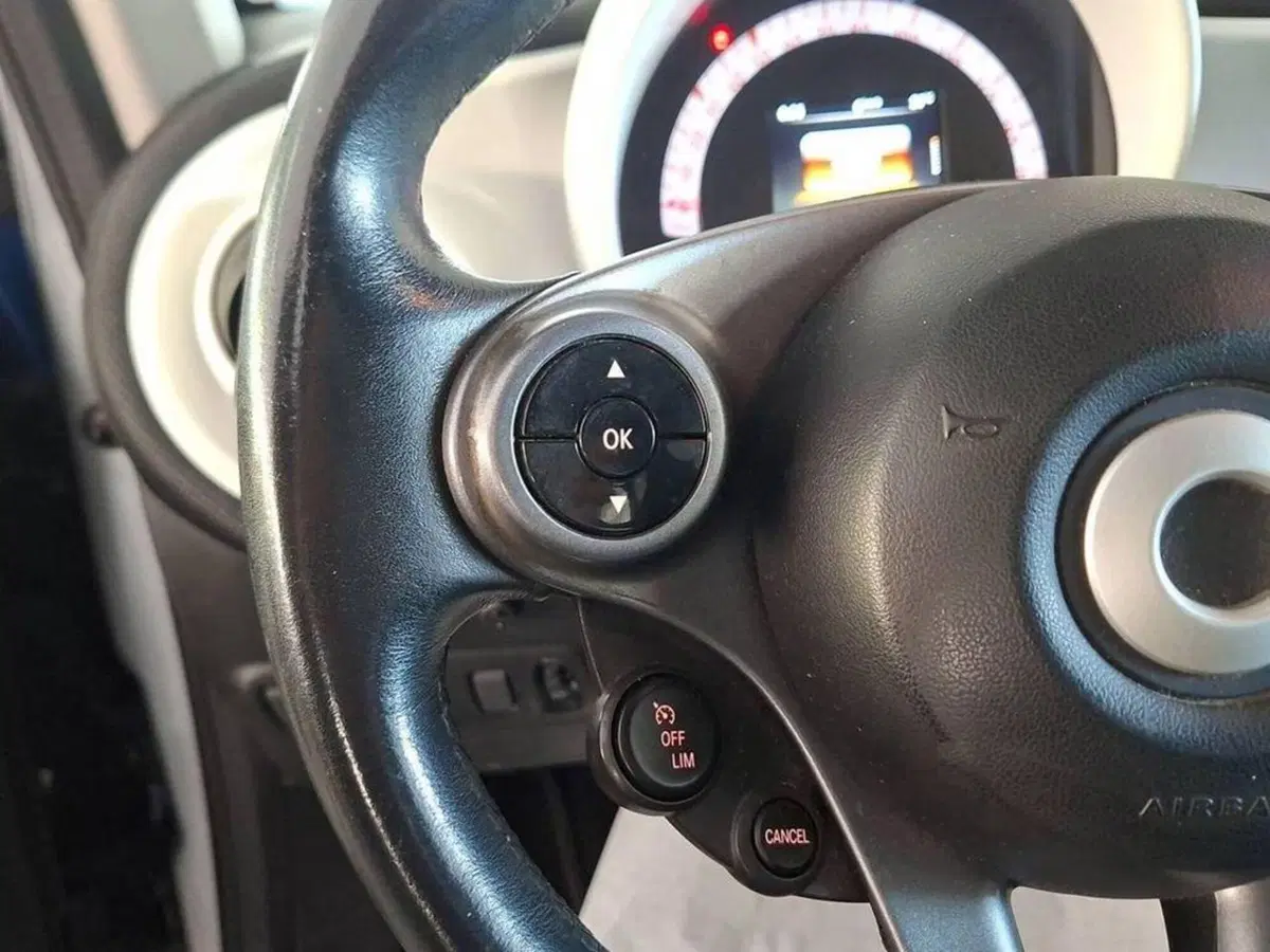 smart Fortwo usata a Torino (8)
