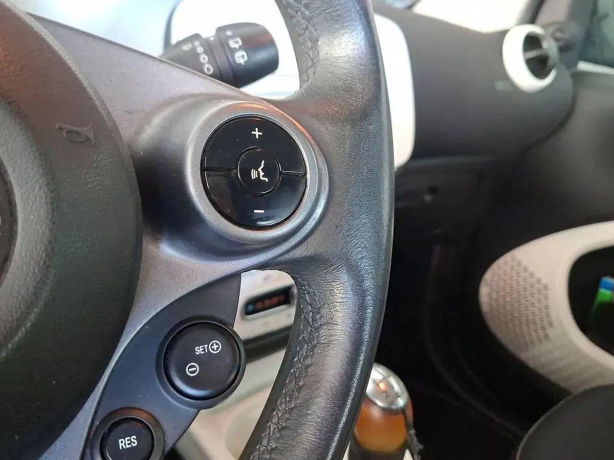 smart Fortwo usata a Torino (9)