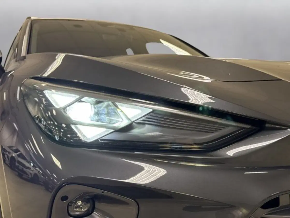 Cupra Terramar nuova a Vicenza (19)